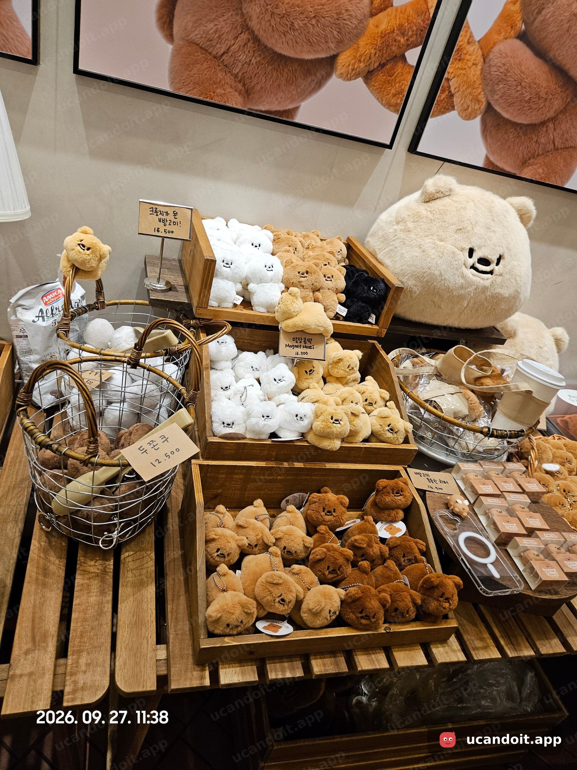 엔제리너스 롯데월드몰F1점