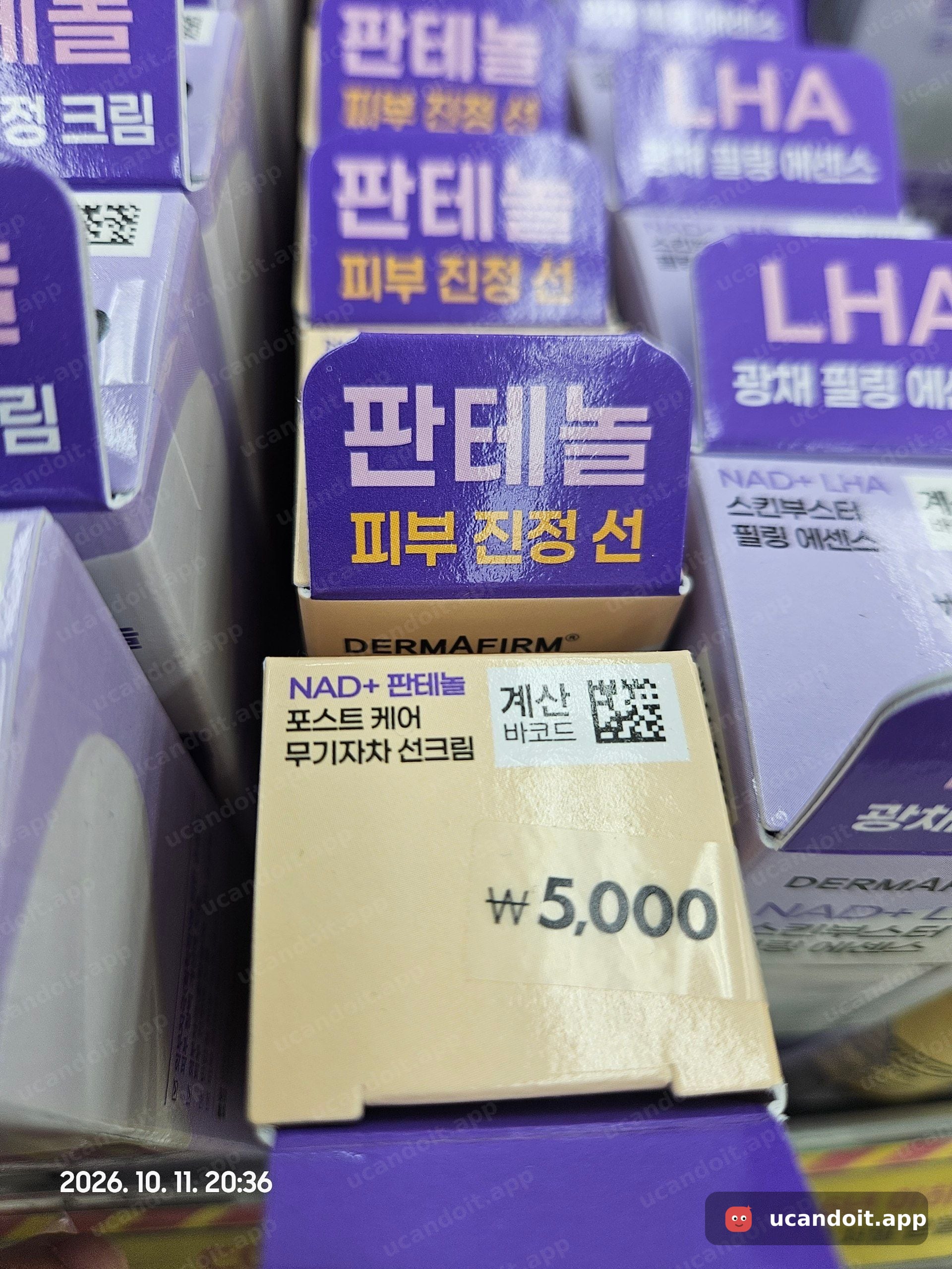 다이소 위례본점