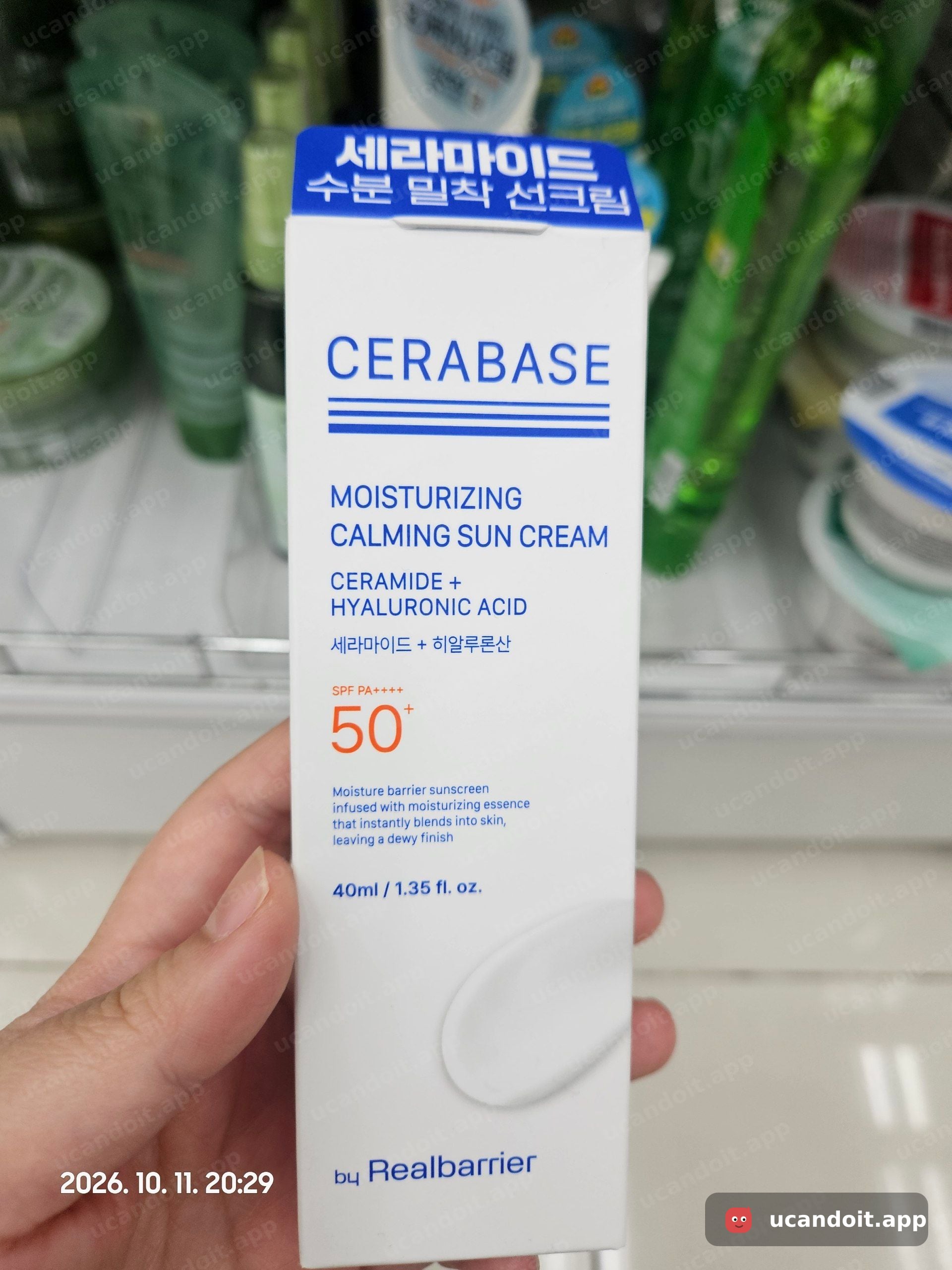 다이소 위례본점